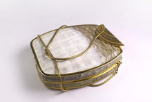 Cream & taupe "sauvage" crocodile skin metal-hard sided clutch
