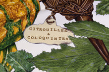 HERMÈS scarf “Citrouilles & Coloquintes” by Valerie Dawlat-Dumoulin