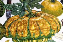 HERMÈS scarf “Citrouilles & Coloquintes” by Valerie Dawlat-Dumoulin