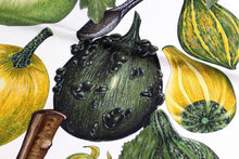 HERMÈS scarf “Citrouilles & Coloquintes” by Valerie Dawlat-Dumoulin