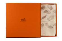 HERMÈS scarf “Plumes” by Henri de Linarès